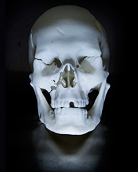 16_RichardIII-Skull